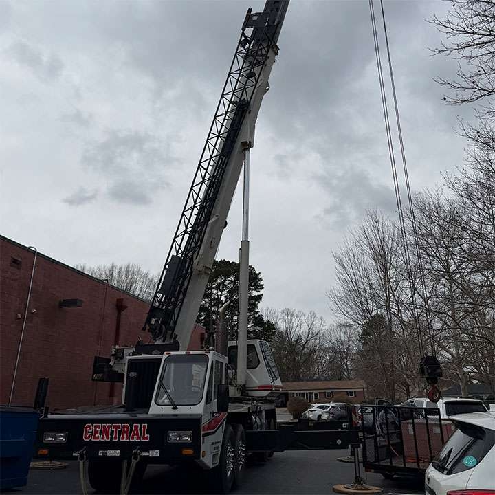 Image for Central Crane with ID of: 6935342