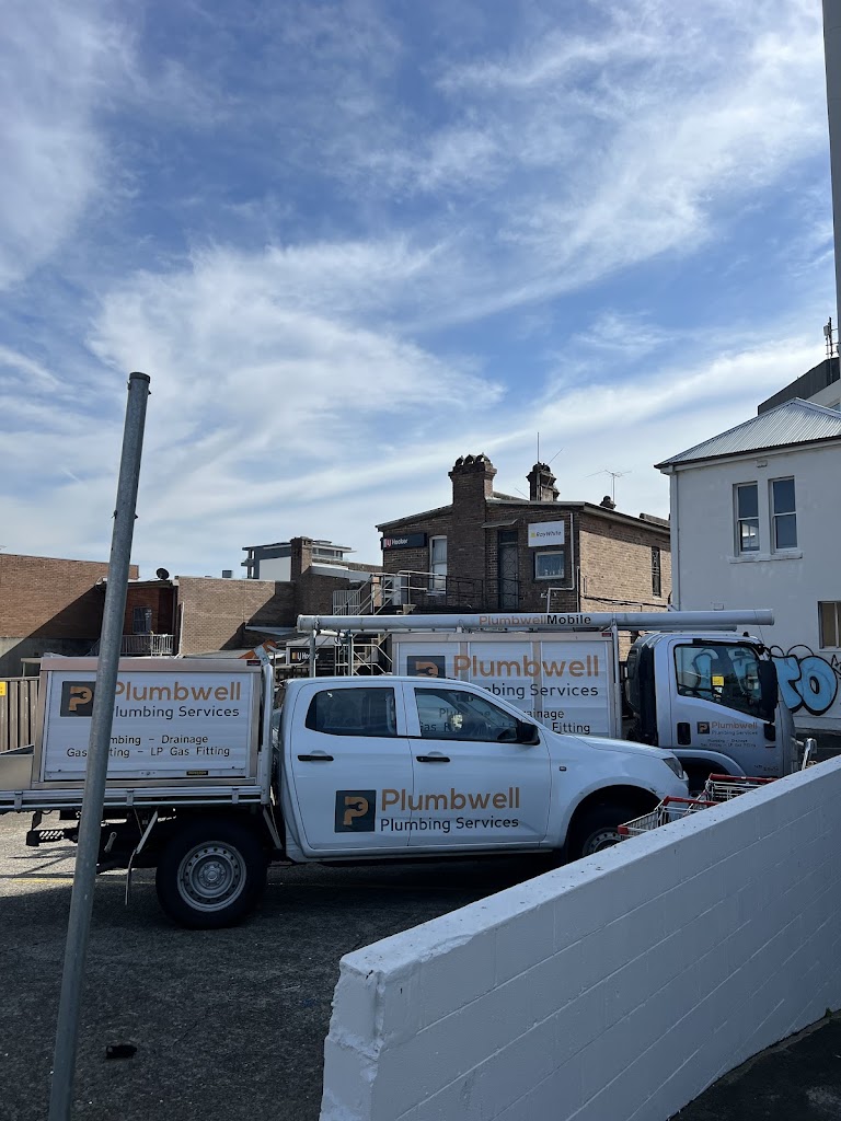 Image for Plumbwell Plumbing Services with ID of: 6935566