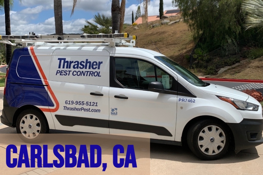 Image for Thrasher Pest Control with ID of: 6935792