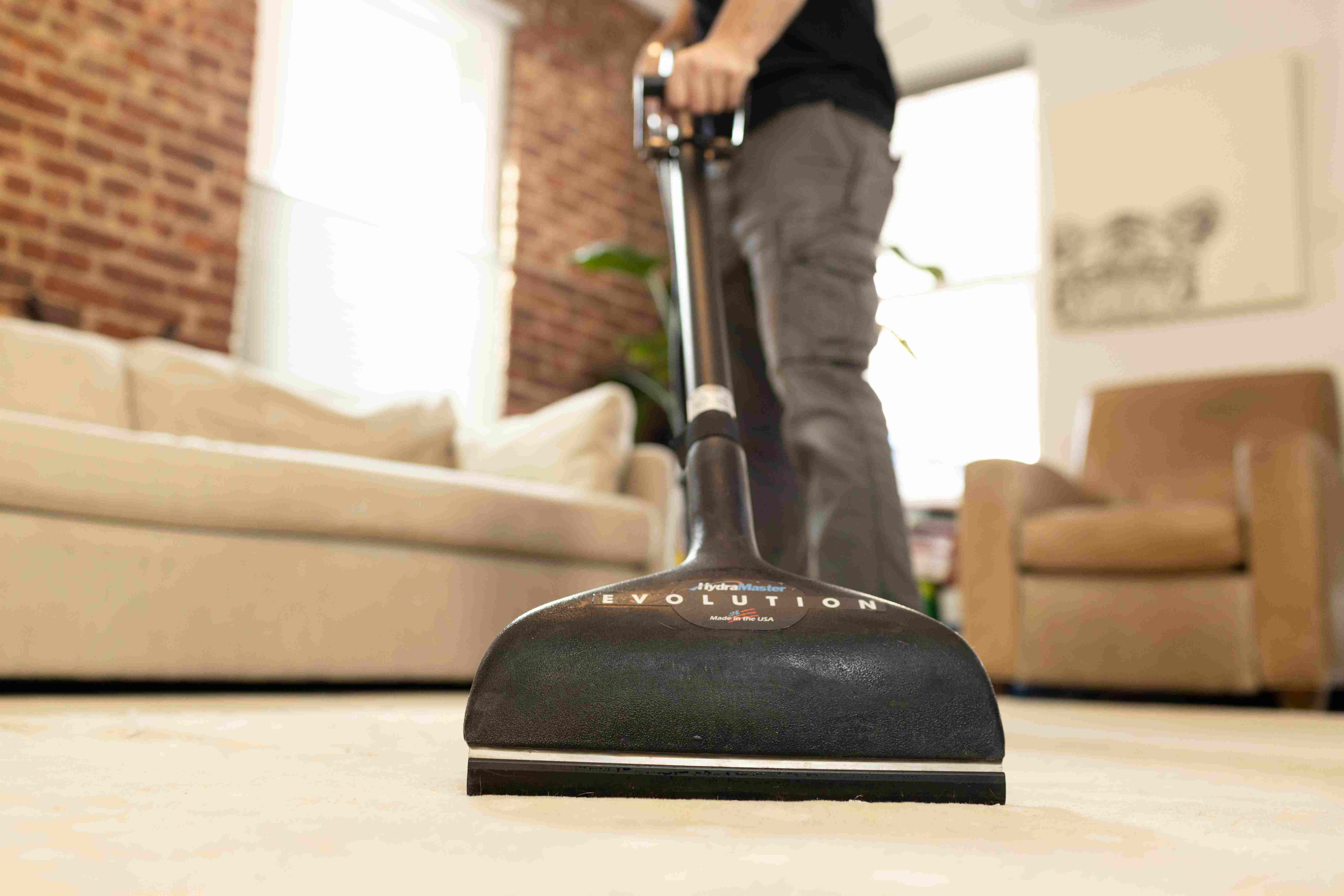 Image for Sunlight Fine Rug Care with ID of: 6936309