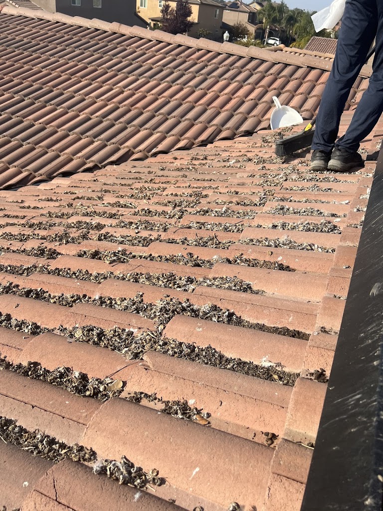 Image for Golden Rays Solar Panel Cleaning, Bird Proofing & Installation Services Fresno with ID of: 6938472