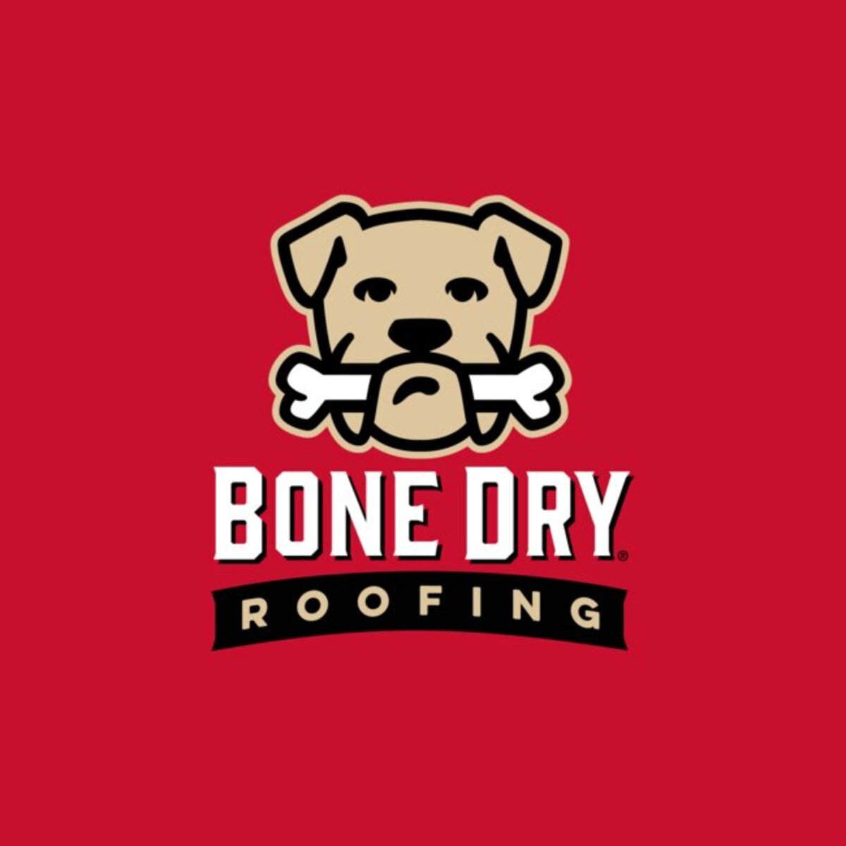 Image for Bone Dry Roofing with ID of: 6938597