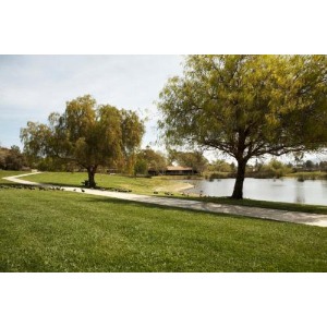 Image for Linfield Christian School with ID of: 6939251