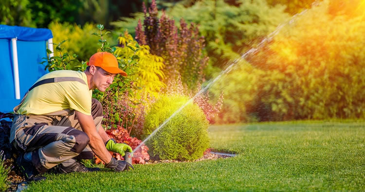 Image for Gary's Lawn Solutions with ID of: 6939333