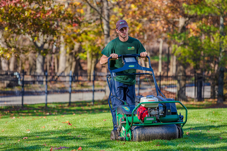 Image for Gary's Lawn Solutions with ID of: 6939334