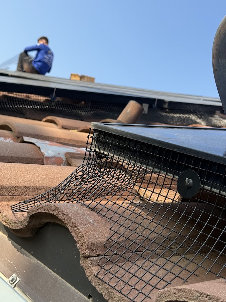 Image for Golden Rays Solar Panel Cleaning, Bird Proofing & Installation Services Clovis with ID of: 6939681