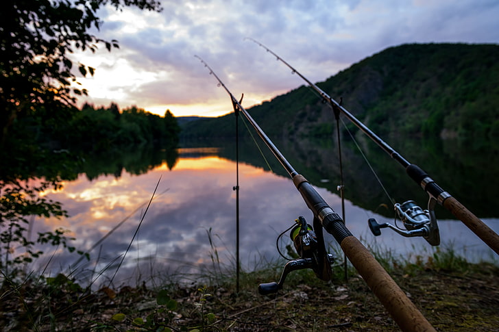 Image for The Day I Stopped Calling It “Just a Rod” — And Started Understanding the Power of the Right Fish Pole with ID of: 6940799