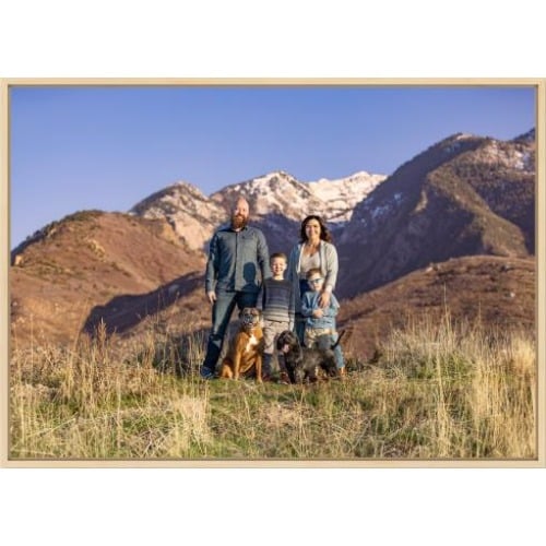 Image for Chile Dog Photography with ID of: 6941400
