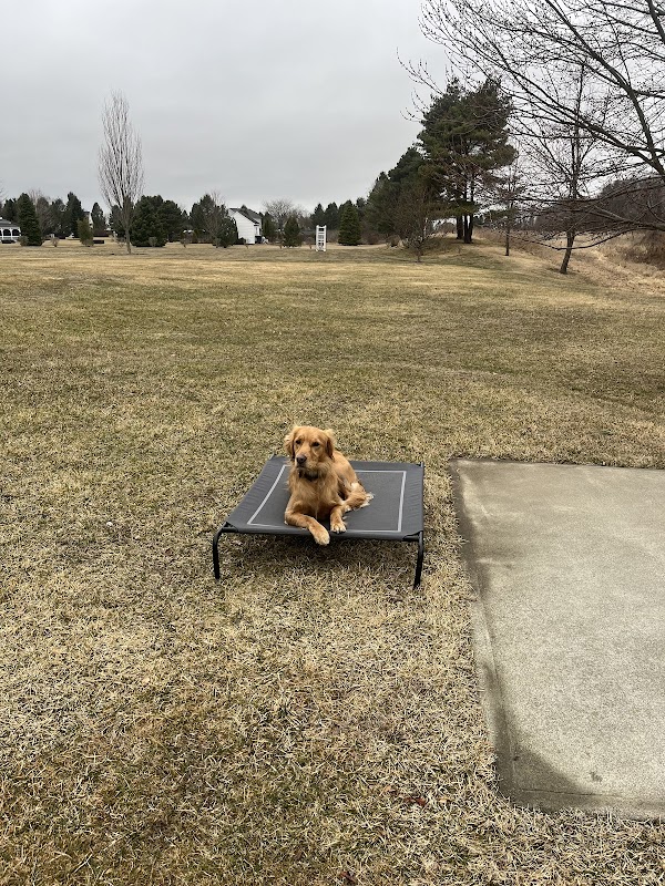 Image for Albany Off Leash K9 Training with ID of: 6941744