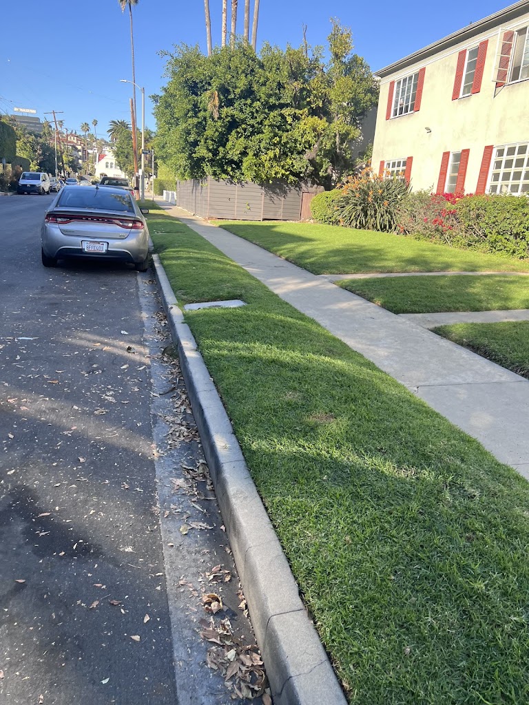 Image for Alvarado's Junk Removal with ID of: 6942184
