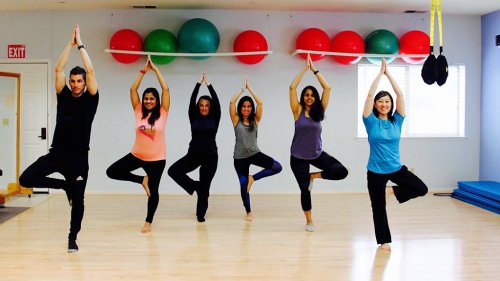 Image for PhysioFit Physical Therapy & Wellness with ID of: 6943296