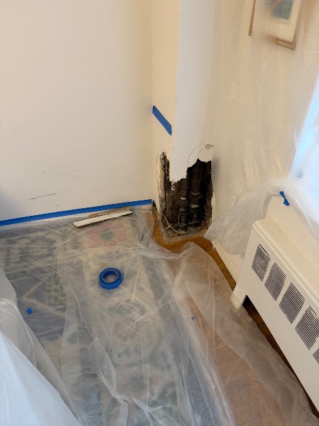 Image for Fast Mold Testing - Fresno with ID of: 6943734