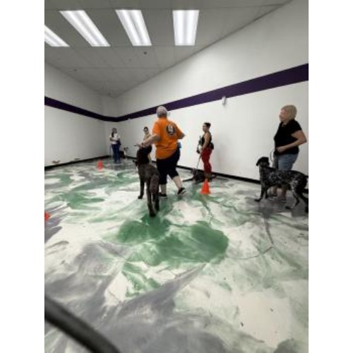 Image for K9 Rox Club with ID of: 6944874