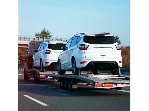 Image for Safe Car Hauling inc | Virginia with ID of: 6944947