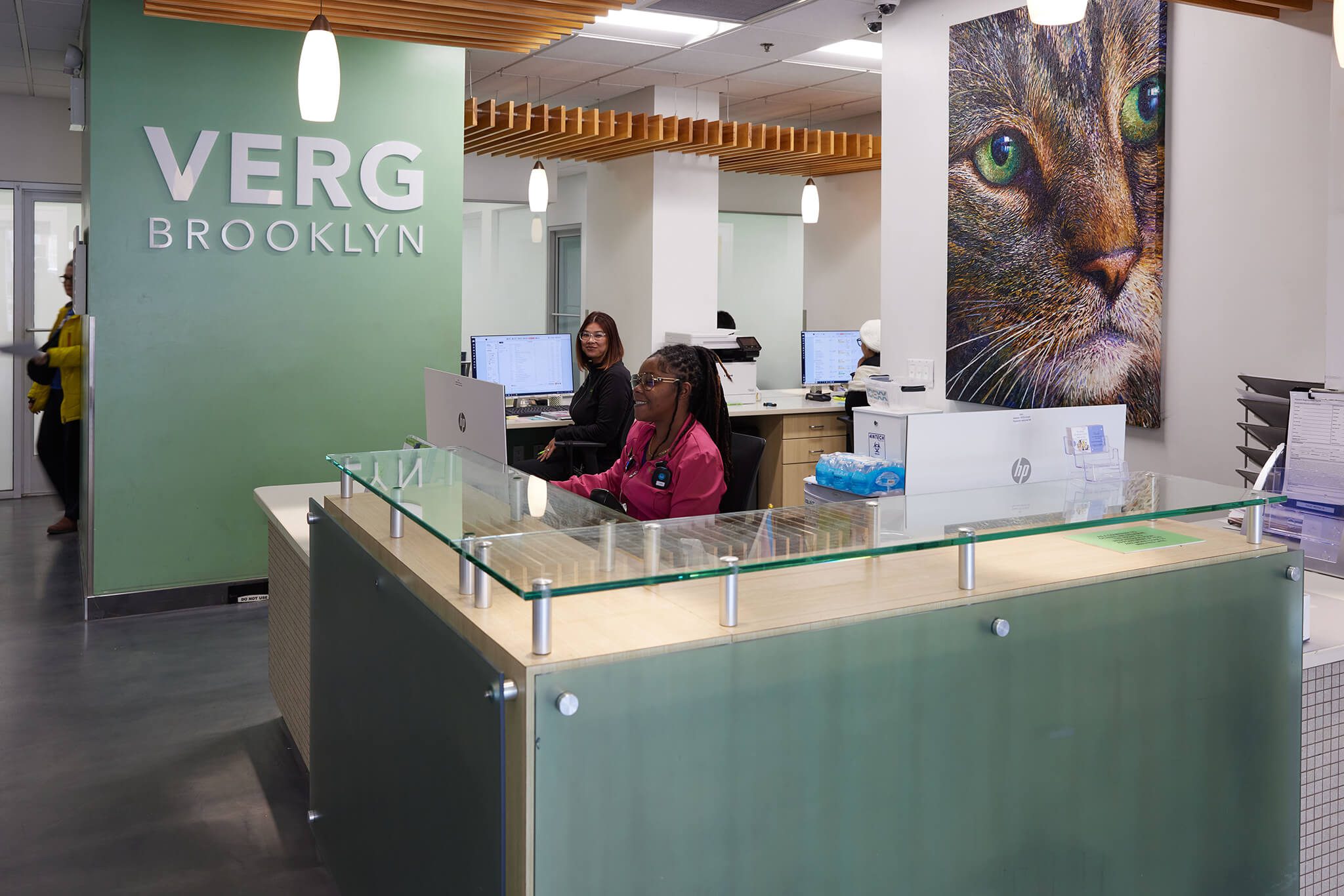 Image for VERG Brooklyn with ID of: 6945231