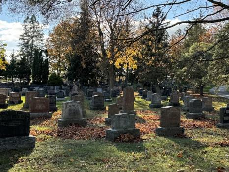 Image for Woodlawn Memorial Park with ID of: 6945500
