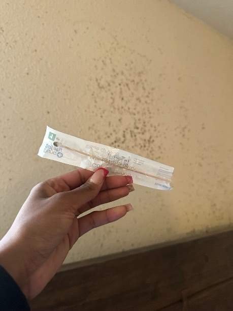 Image for Fast Mold Testing Fort Worth with ID of: 6945537
