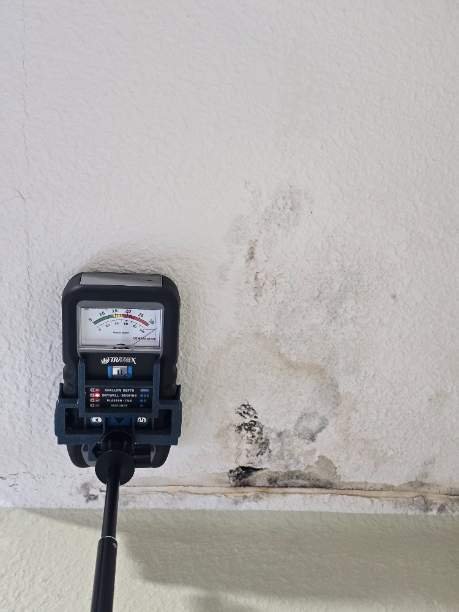 Image for Fast Mold Testing Fort Worth with ID of: 6945547