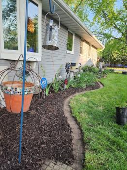 Image for Superior Lawn Care and Landscaping with ID of: 6947317