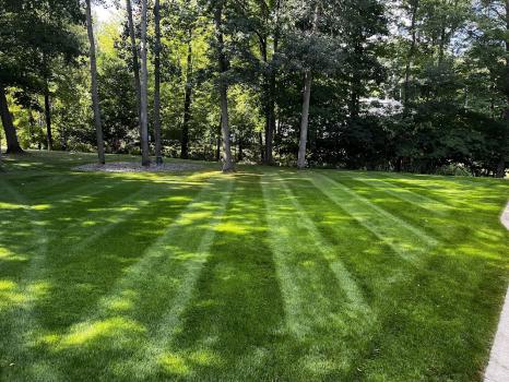 Image for Superior Lawn Care and Landscaping with ID of: 6947318