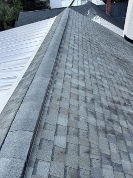 Image for RoofServ with ID of: 6947348