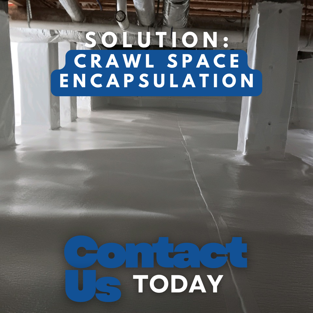 Image for DFX Foundation & Waterproofing Experts with ID of: 6234203
