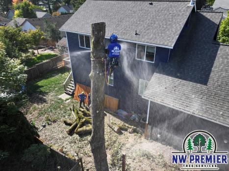 Image for NW Premier Tree Services with ID of: 6947534