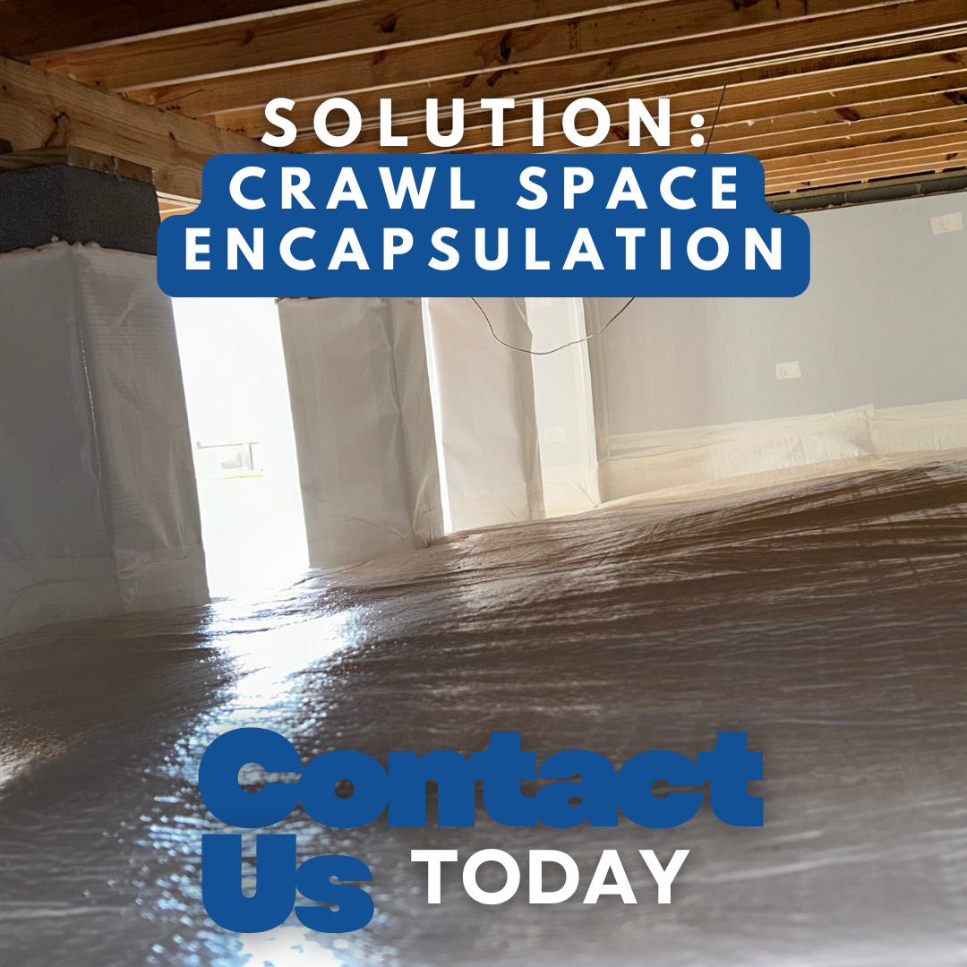 Image for DFX Foundation & Waterproofing Experts with ID of: 6234205