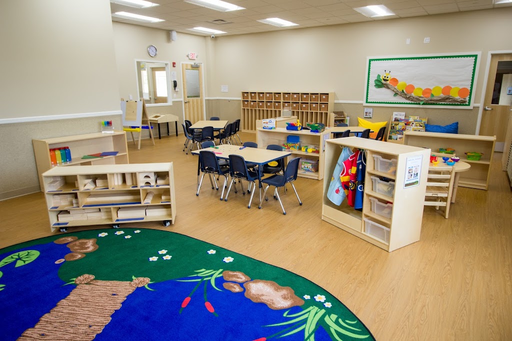 Image for Lightbridge Academy with ID of: 6947607