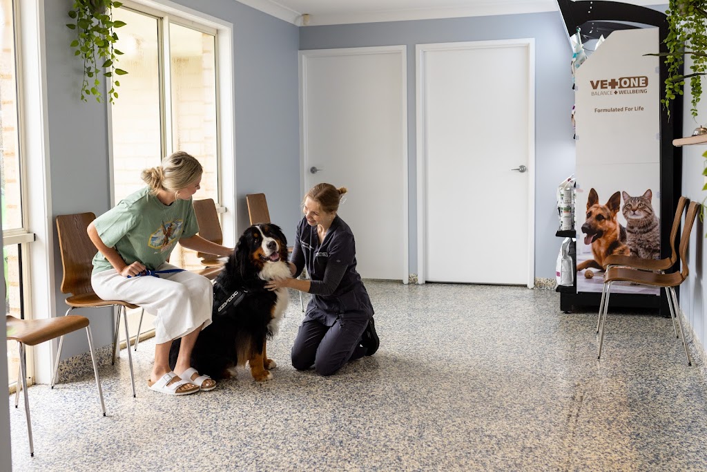 Image for AHT Vets Thornlands with ID of: 6948008