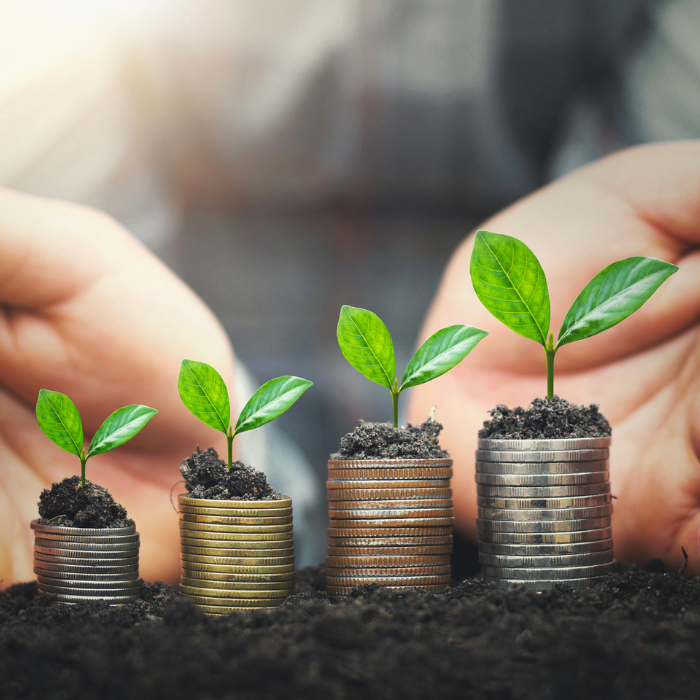 Image for Holistic Wealth Coaching | MJ Kawamoto with ID of: 6949000