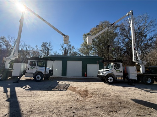 Image for Tree Tech Tree Service, Inc. with ID of: 6949561