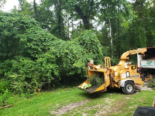 Image for Tree Tech Tree Service, Inc. with ID of: 6949562