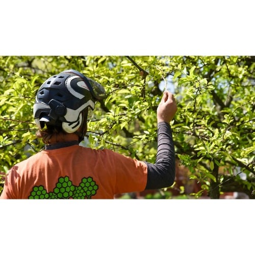 Image for Ahlum & Arbor Tree Preservation with ID of: 6949584