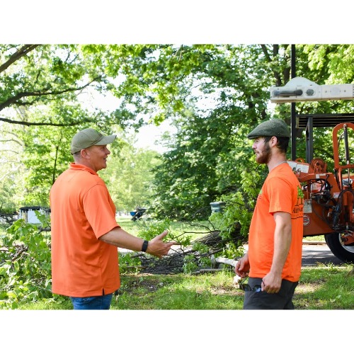 Image for Ahlum & Arbor Tree Preservation with ID of: 6949586