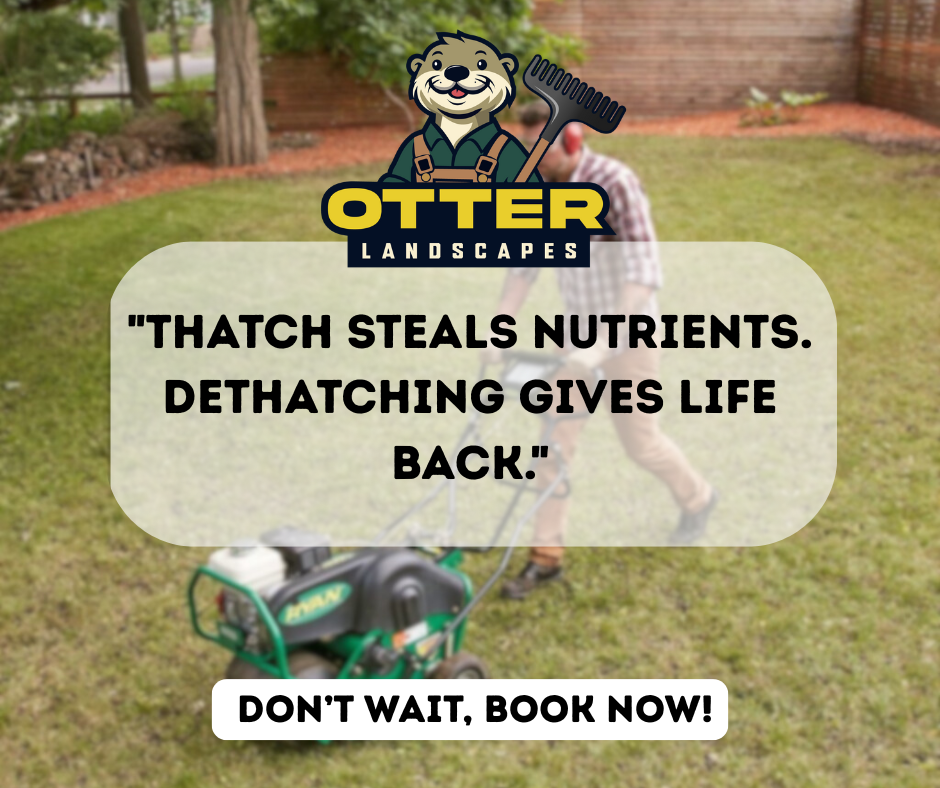 Image for Otter Landscapes with ID of: 6949901