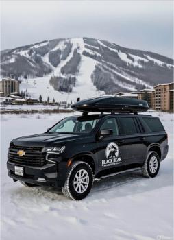 Image for Black Bear Transportation with ID of: 6949910