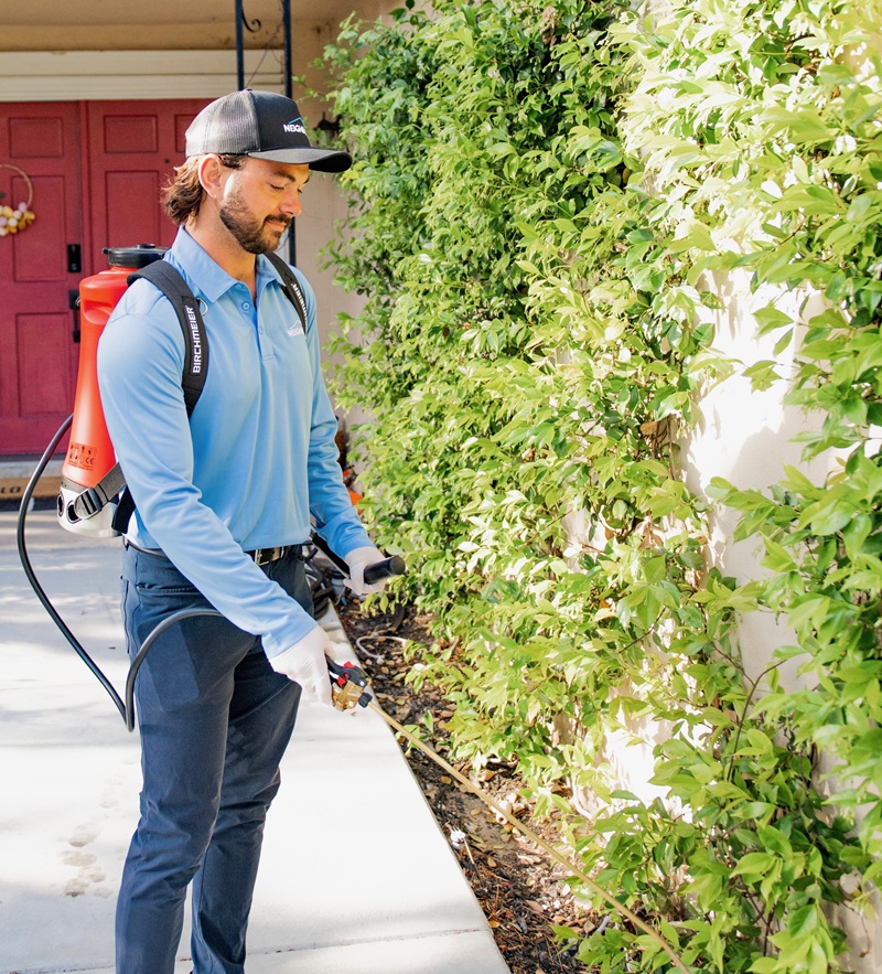 Image for Neighbors Pest Solutions with ID of: 6950154