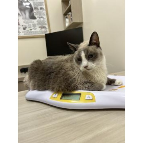 Image for Eden Animal Hospital with ID of: 6950377