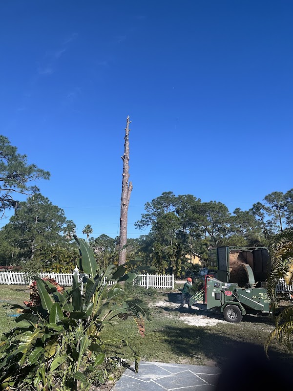 Image for Paul Stetson Tree Service and Pressure Cleaning with ID of: 6951014