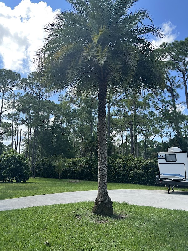 Image for Paul Stetson Tree Service and Pressure Cleaning with ID of: 6951016