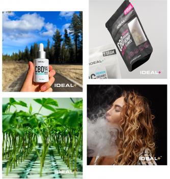 Image for Ideal Plus: Premium THCa Flower and THCa Wholesale with ID of: 6954868