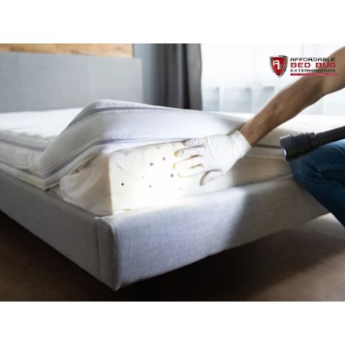 Image for Bed Bug Exterminator Racine with ID of: 6955524