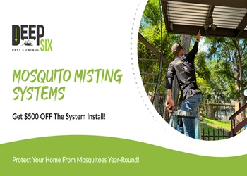 Image for Deep Six Pest Control with ID of: 6956830