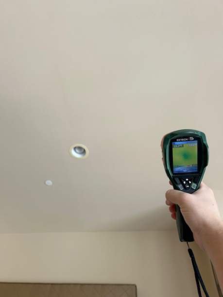 Image for Fast Mold Testing - Baltimore with ID of: 6957015