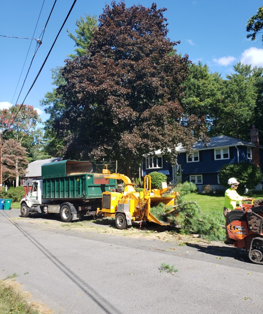 Image for McDonald Tree Service with ID of: 6957109