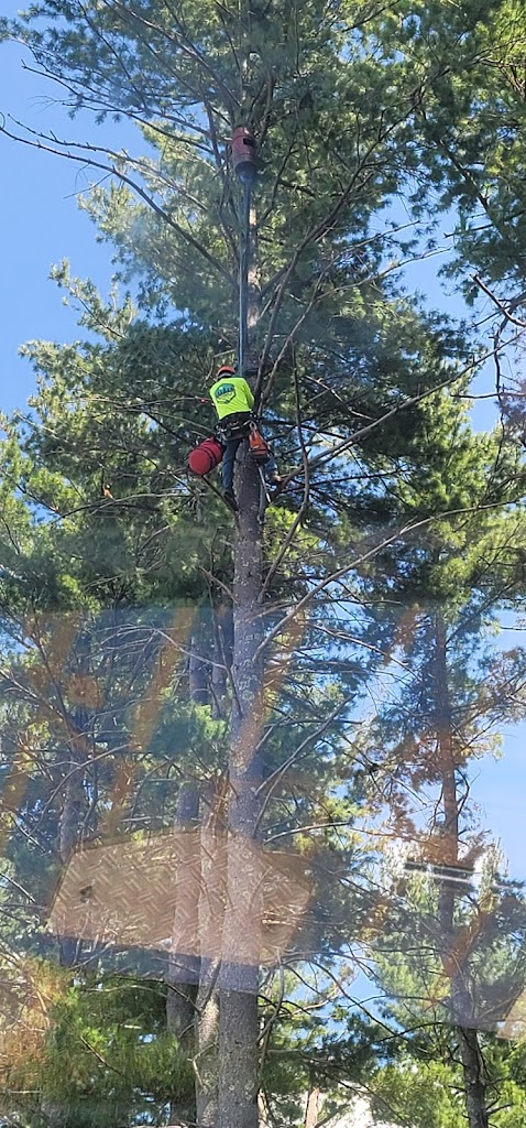 Image for McDonald Tree Service with ID of: 6957118