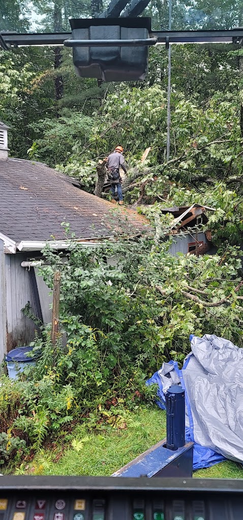 Image for McDonald Tree Service with ID of: 6957119