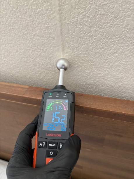 Image for Fast Mold Testing - Houston with ID of: 6958078