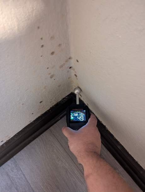 Image for Fast Mold Testing - Fort Lauderdale with ID of: 6958224